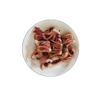 Frozen Sea Food Squid Head Tentacles