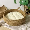 oreja blanca