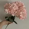 Rosa claro