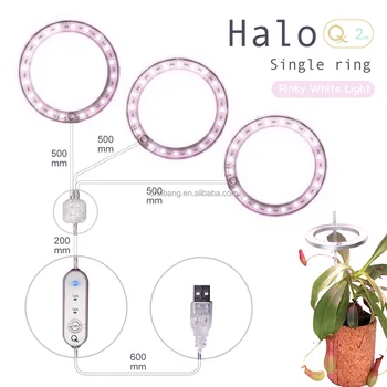 Original Single Halo Angel Ring Greenhouse Grow Light Hydroponic Small Size Lamp Indoor Plant For Flower Growth