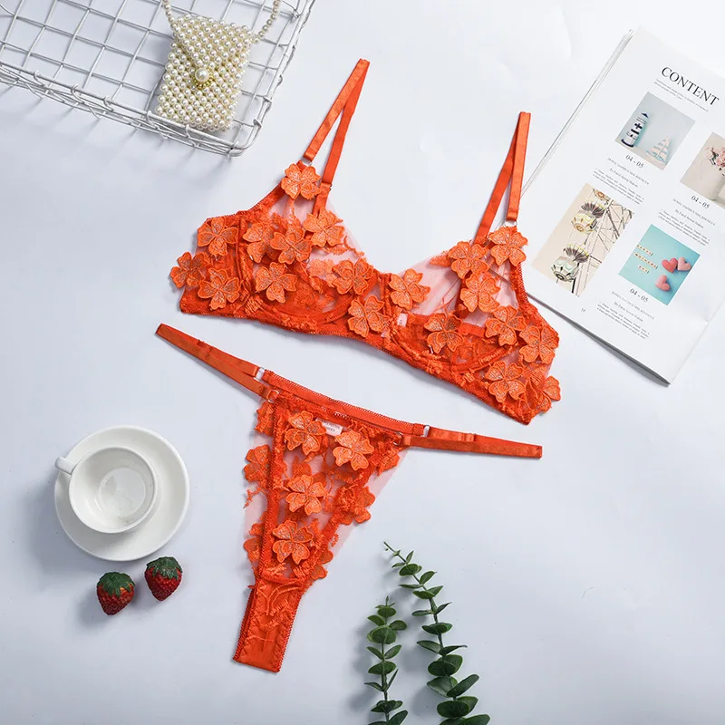 Romantic Sexy Lace Bra breve definir novos Lingerie atacado de fábrica -  China Sutiã sexy e lingerie sexy preço