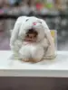 Lapin blanc - 15cm