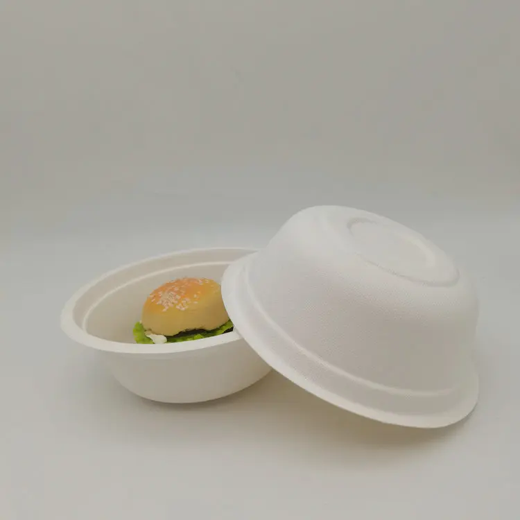 bagasse bowl (19).jpg