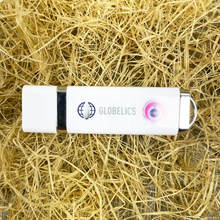 Bulk Cheap Business Gift Plastic USB Flash Drive 1GB 2GB 4GB 8GB 16GB 2.0 USB Stick Pen Drive with Custom Logo - ANKUX.COM