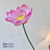Una flor de loto rosa