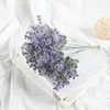 azul violeta