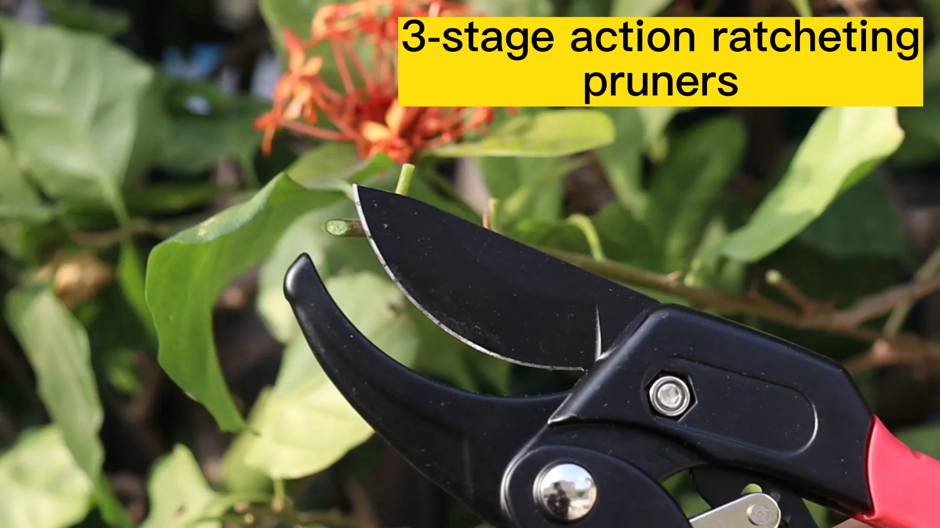 Sunshine Pruning Shears For Gardening Heavy Duty Cutting Power 3x