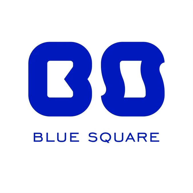 Blue Square Support 公司概述 - Shenzhen Blue Square Technology Co., Ltd.