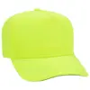 Fluorescent Green