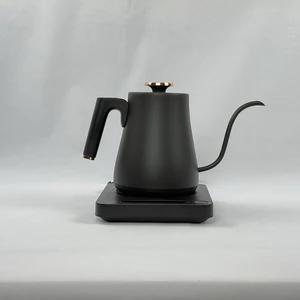 Portable Electric Kettle with Temperature Control 304 Stainless Steel Travel Gooseneck Cordless Cordless Boiling Coffee Water