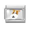 สัตว์เลี้ยง-7
