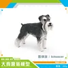 PL127-1300 Schnauzer 262g