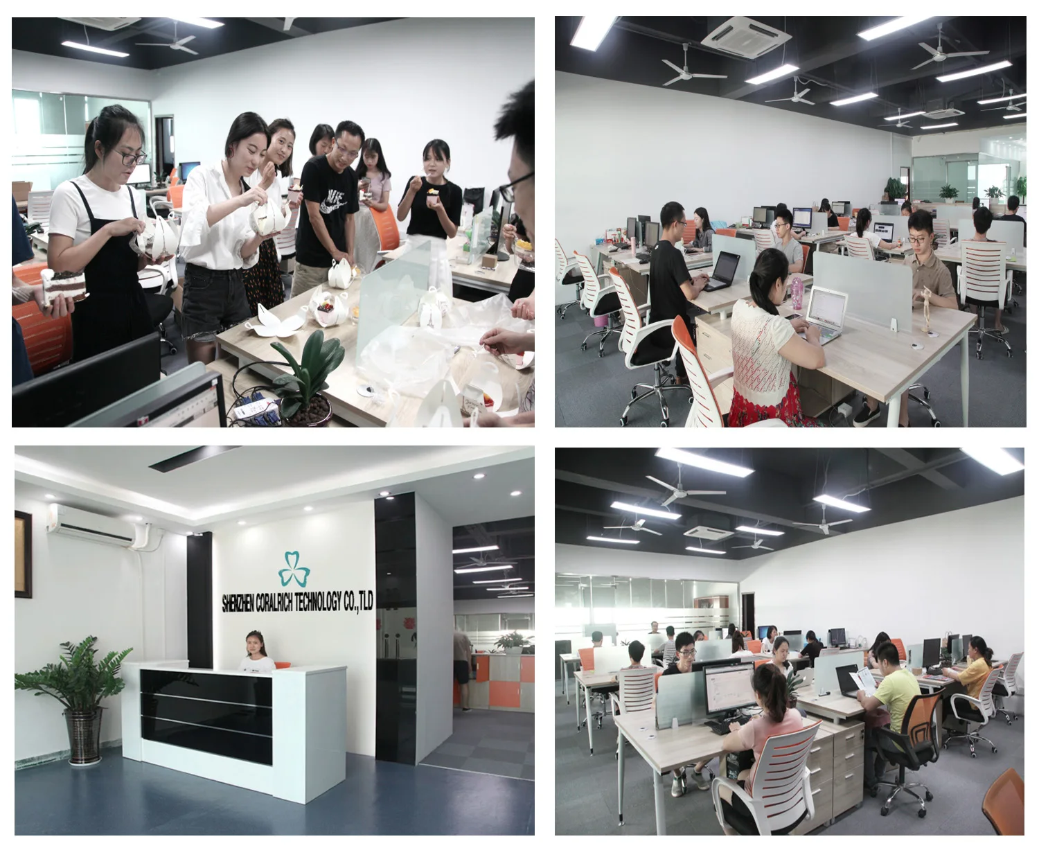 Shenzhen Coralrich Technology Company Limited