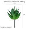 Jz025-green five-layer aloe vera