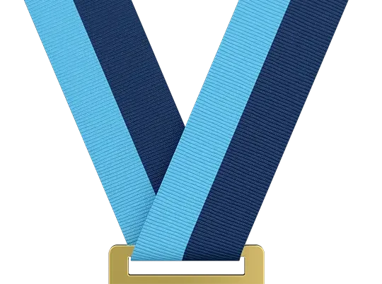 Light Blue / Navy Blue