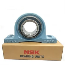 NSK 1.jpg