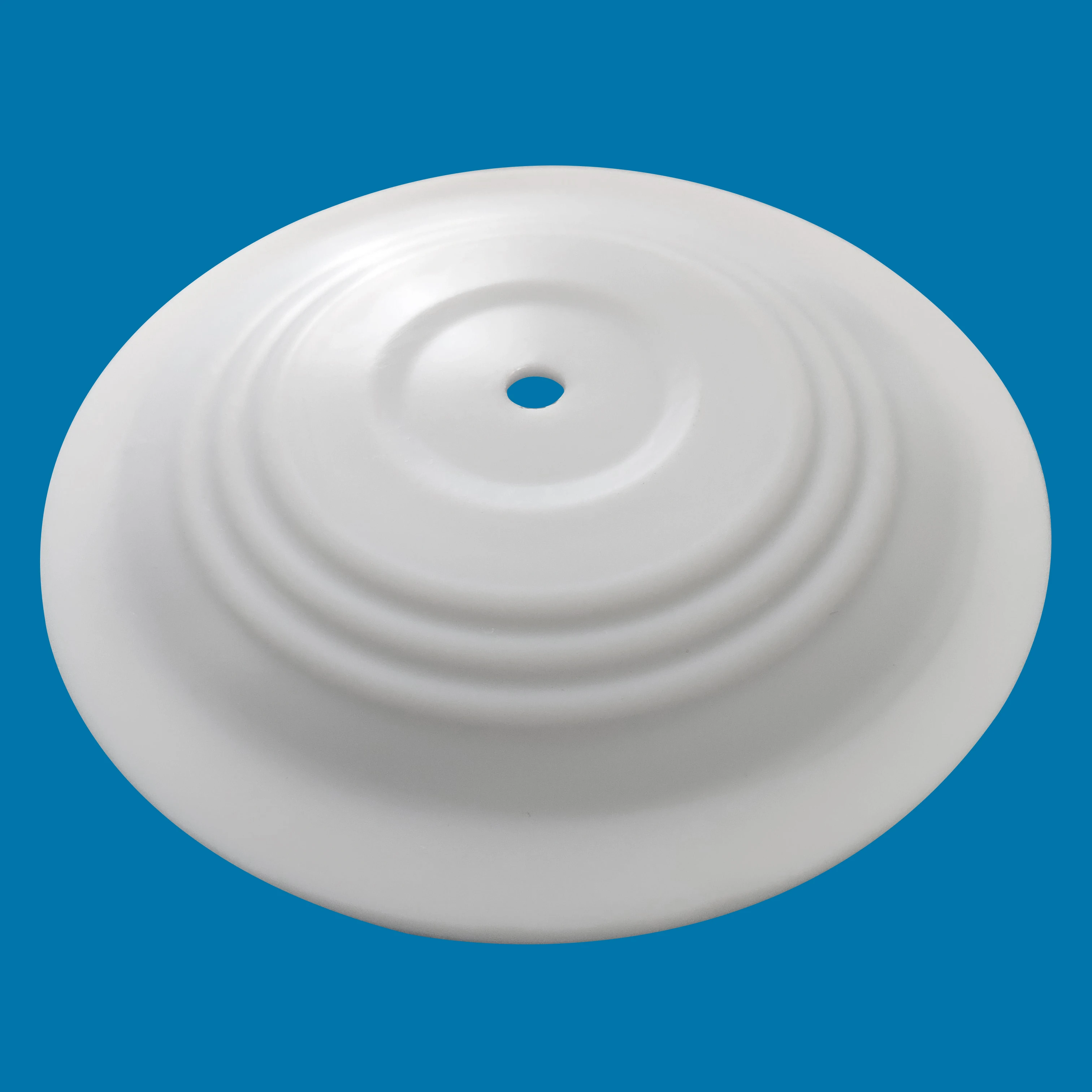 CF 286.070.600  PTFE Diaphragm 