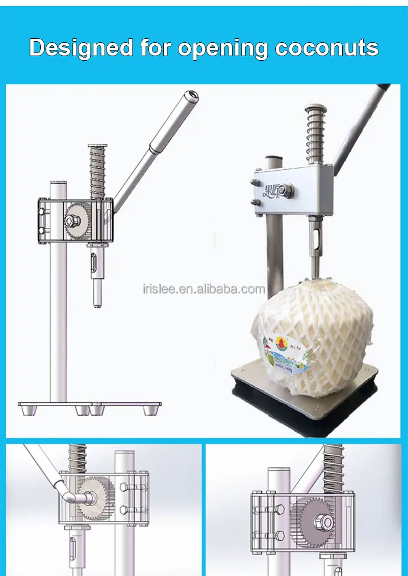 ココナッツ7ページ 19392_01l.webp