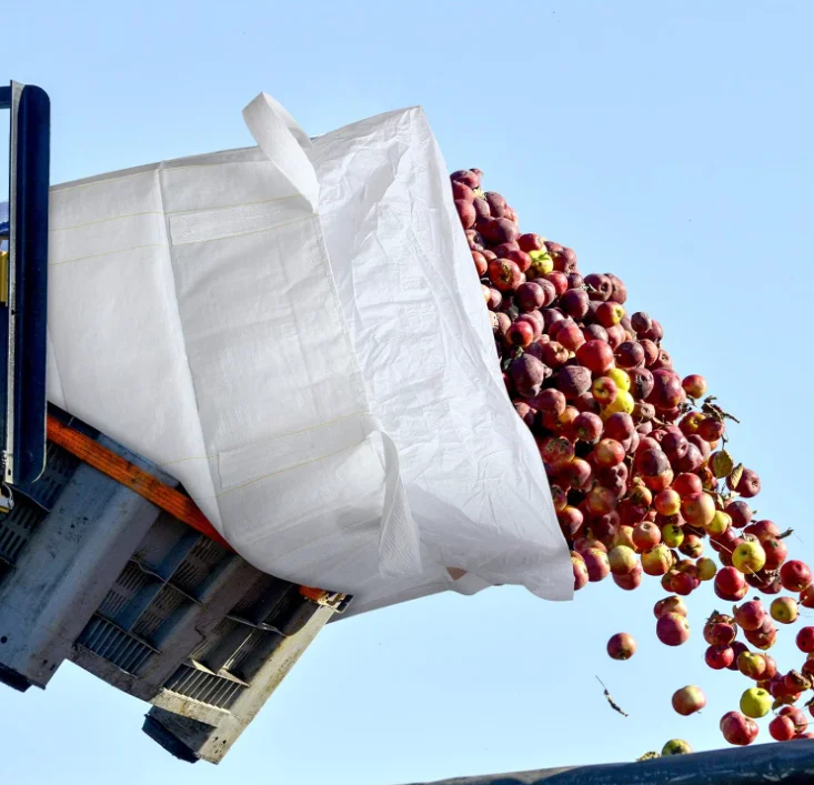 High Quality 1 Ton 2 Ton PP Super Sack Grain Maize Sugar Salt 1000kg Plastic Ton Bag