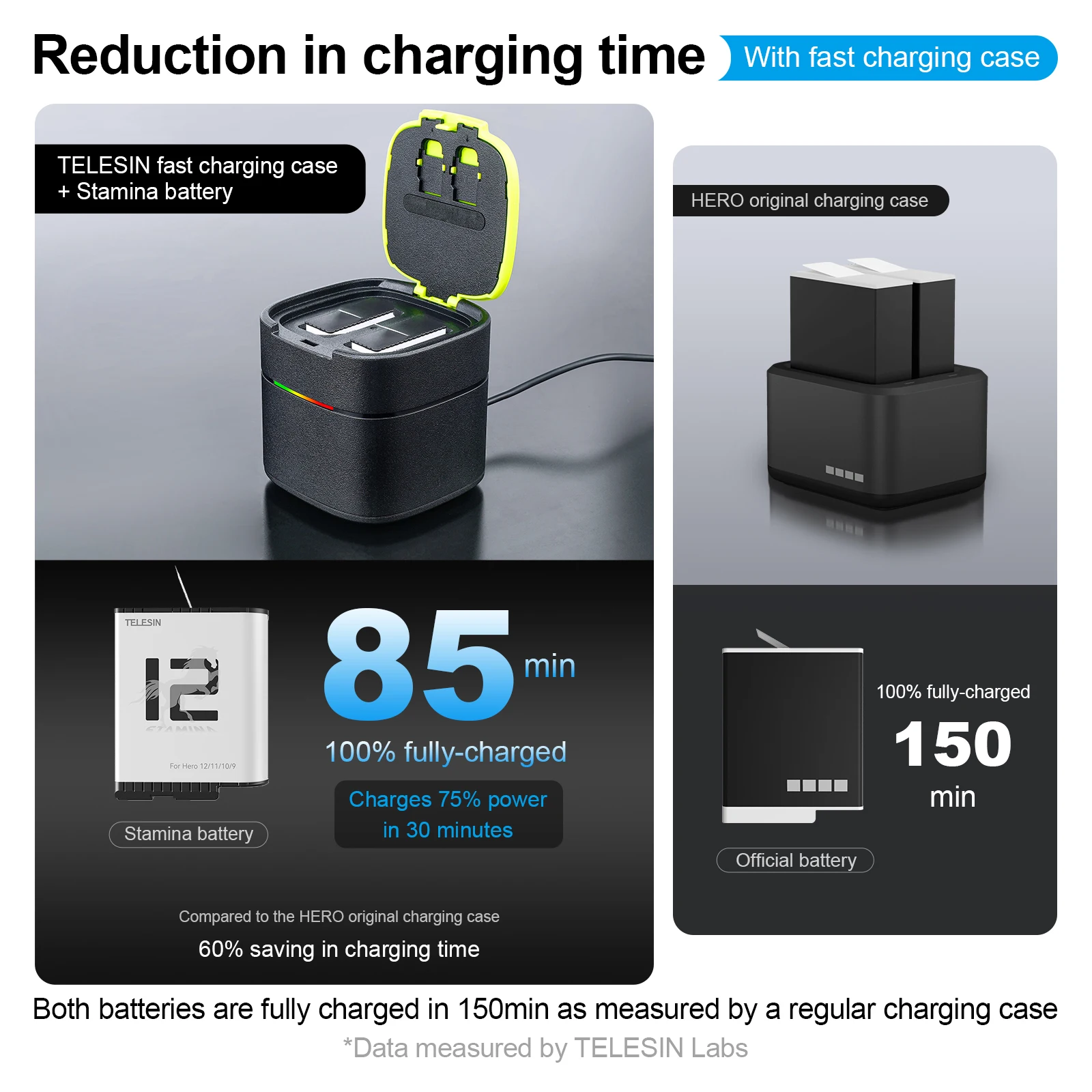Telesin High Performance Rechargeable Battery for Gopro