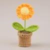 Orange Daisy