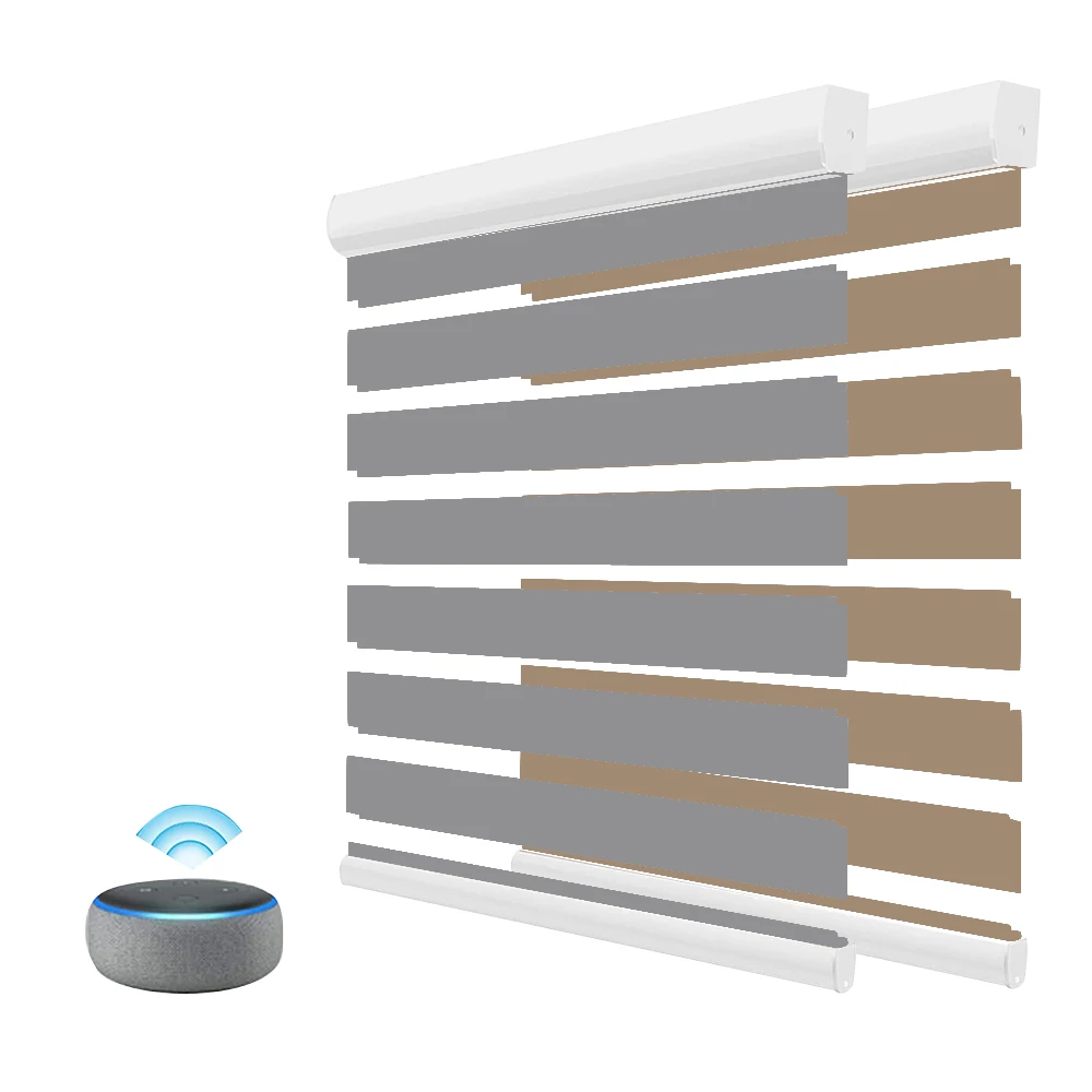 Tuya Zigbee Alexa Voice Remote Control Smart Window Blinds Double Layer Blinds Blackout zebra Roller Blinds for Window