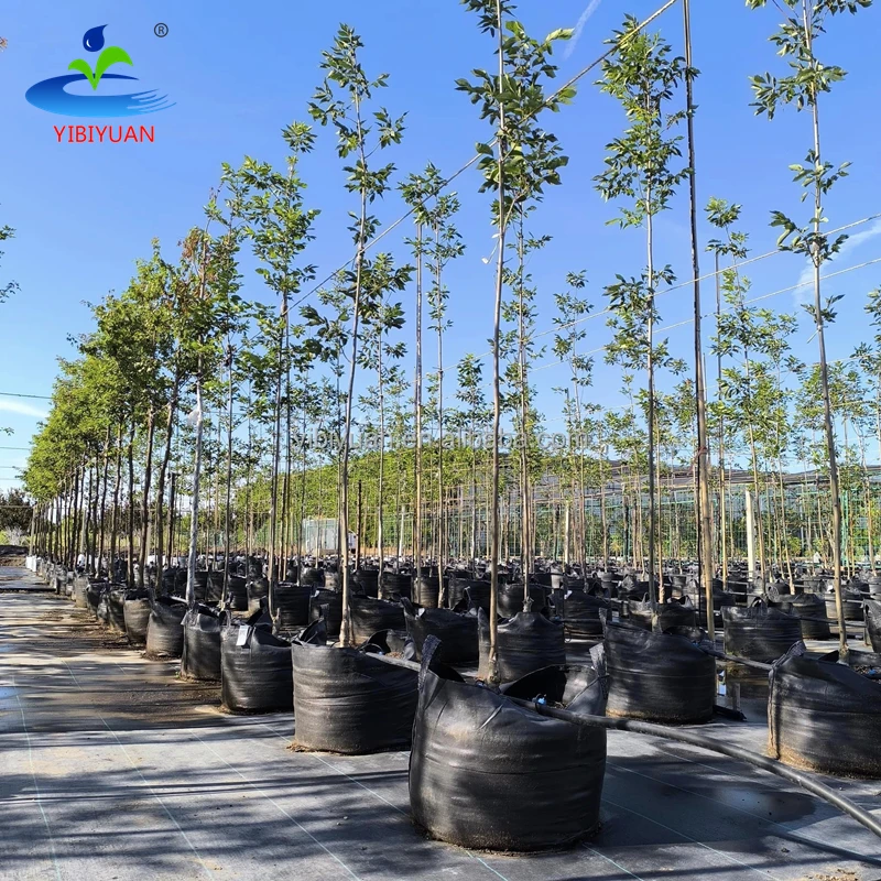 100 Gallon Papaya Tree Plant Grow Bag 150 Liter Outdoor Uv Treated Growing Woven Bag Agriculture