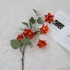 Orange-red
