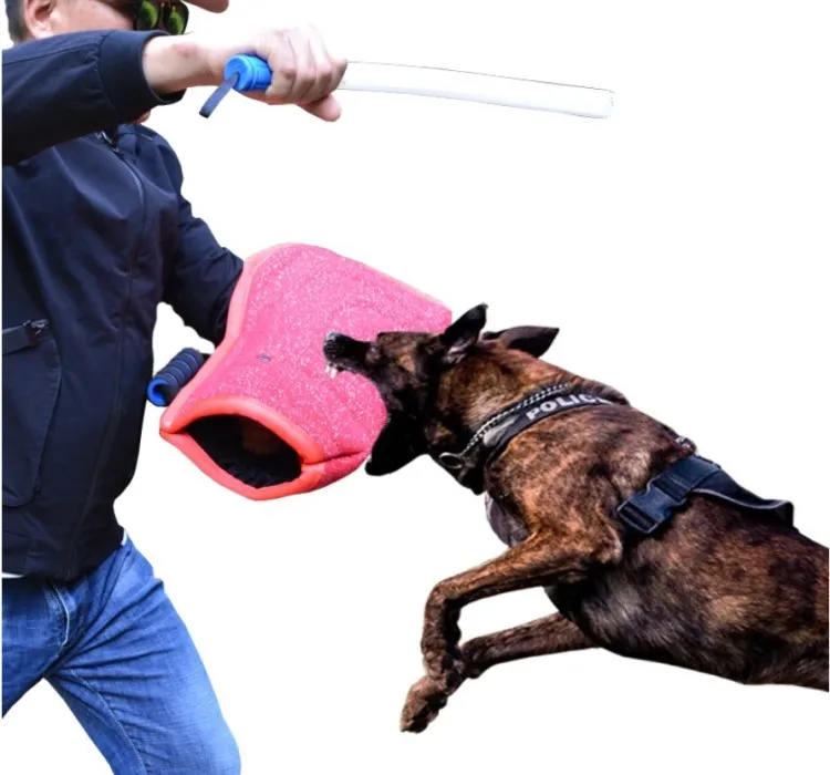 Kit 8 Pulsanti Registrabili Per Cani – 30 Secondi Di Registrazione, Tappetini E 50 Adesivi Inclusi, Addestra Il Tuo Cane A Parlare