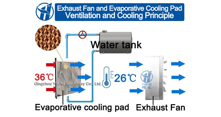 Axial Poultry Exhaust Fan, Wall, 380V - detail 18