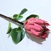 Rosa roja