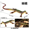 Lézard des herbes coloré 2836