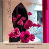 Ensemble de fenêtre en rose rouge, un