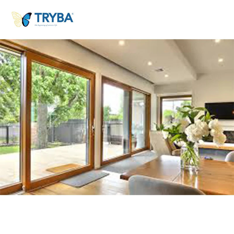 Modern Style Patio UPVC Sliding Door PVC Doors Prices Stainless Steel Glass Fiberglass Screen UPVC Doors