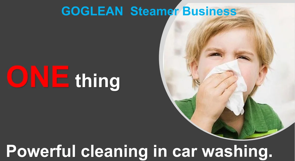 Mobile High Pressure Steam Cleaner Car Washer Wet&dry Steamer