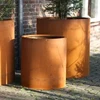 Rust