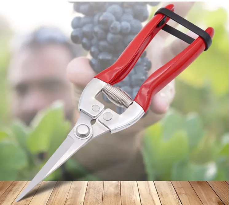 Factory Professional Tree apple Fruit Branches Garden Scissors Pruning Shears With Stainless Steel Blade