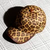 Camello