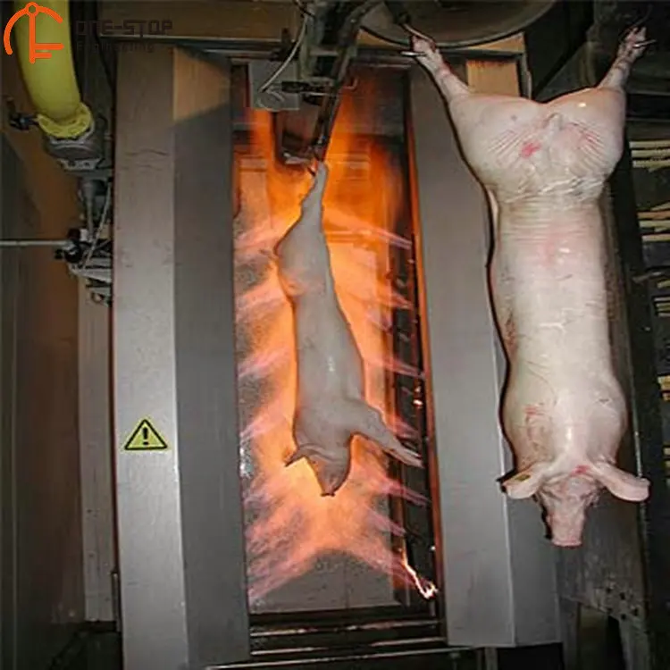Complete pig slaughterhouse equipment for professional pig slaughtering systems