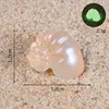 Luminous Round Orange Conch