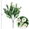Eucalyptus, waterweed, wrinkled chrysanthemum bundle 005