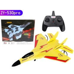 ZY-530PRO пульт дистанционного управления для взрослых, пена, истребитель RC самолет модель самолета