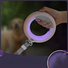 Luxury Colorful Luminous Custom Light Up Dog Leash and Collar Pet Retractable LED Dog Leash with Light