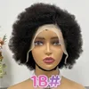 #1B