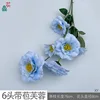 6-headed hibiscus with buds XY Blue