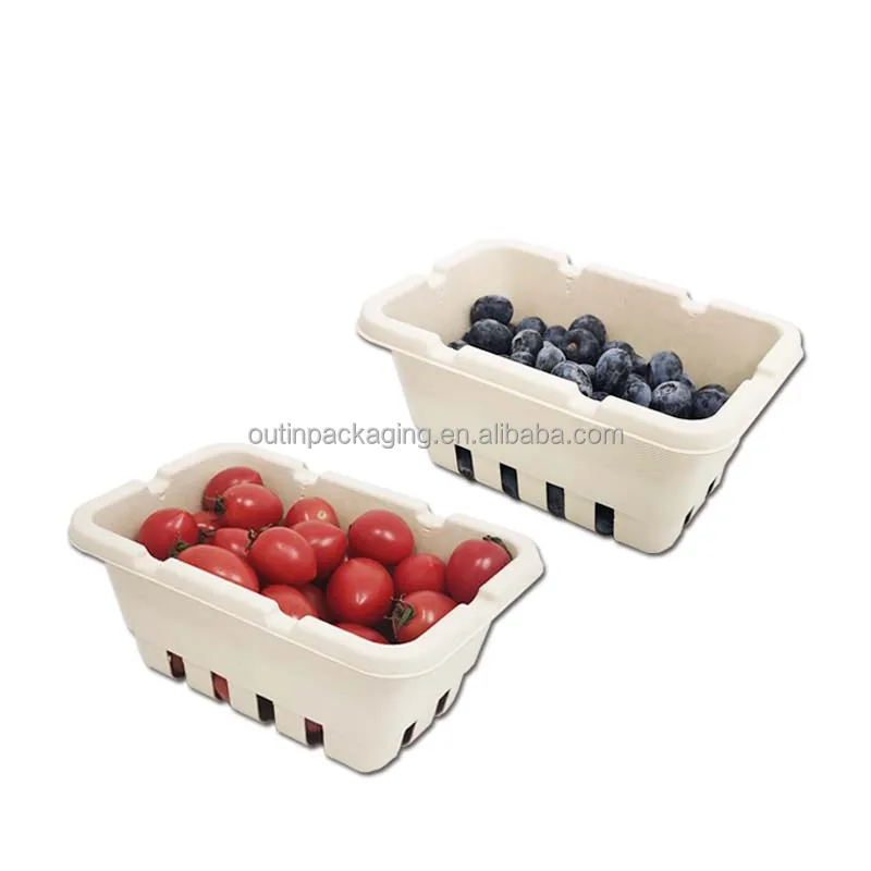 Biodegradable Supermarket Display Fruit Eco Friendly Packaging Moulded ...