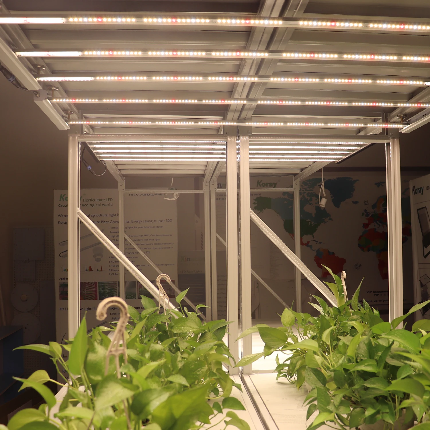 Koray ARZ Array Type Shelf Planting Plants Horticulture Lighting Grow Lights