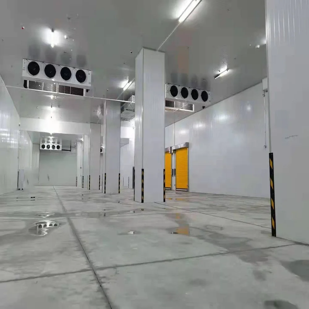 Customized square Meter Cold Room Storage air Cooler Freezing Cold Food Container for Supermarket Made in China