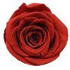Cinnabar red