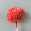 pink peach